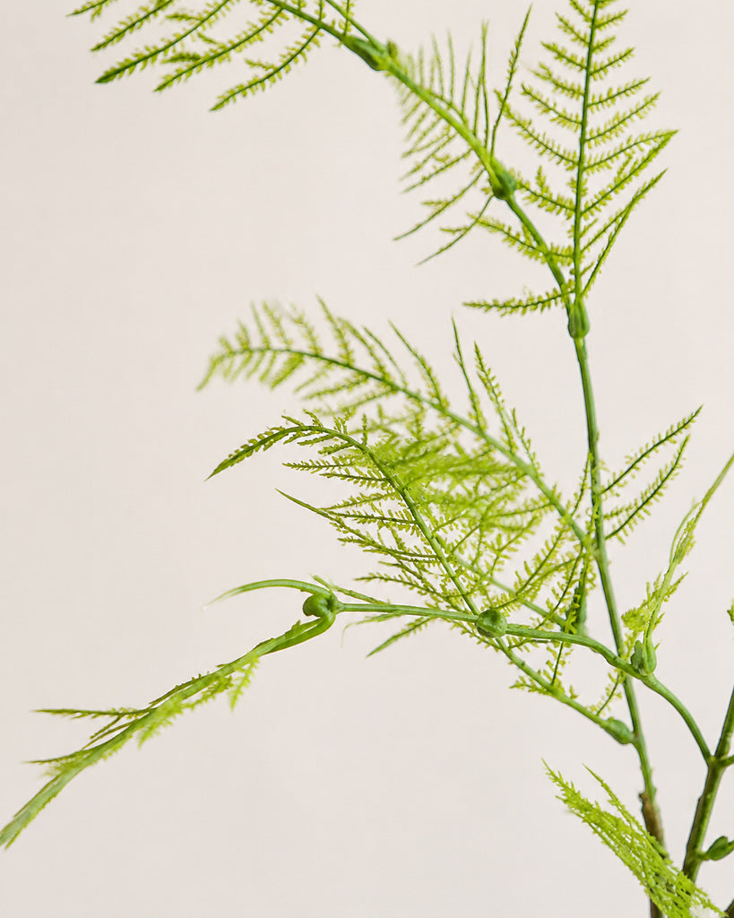 Light Green Plastic Artificial Asparagus Fern Stem - 100 cm