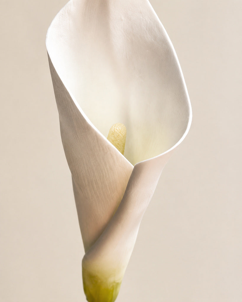 Blush Pink Artificial Calla Lily Floral Stem - 63 cm
