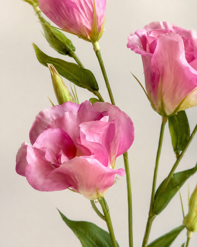 Pink Artificial Lisianthus Spray - 57 cm