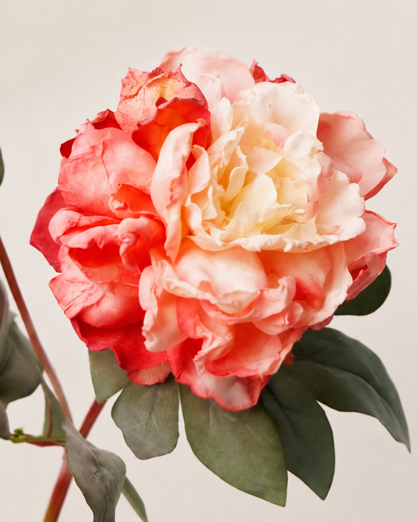 Peach Pink Fabric Artificial Peony Stem - 64 cm