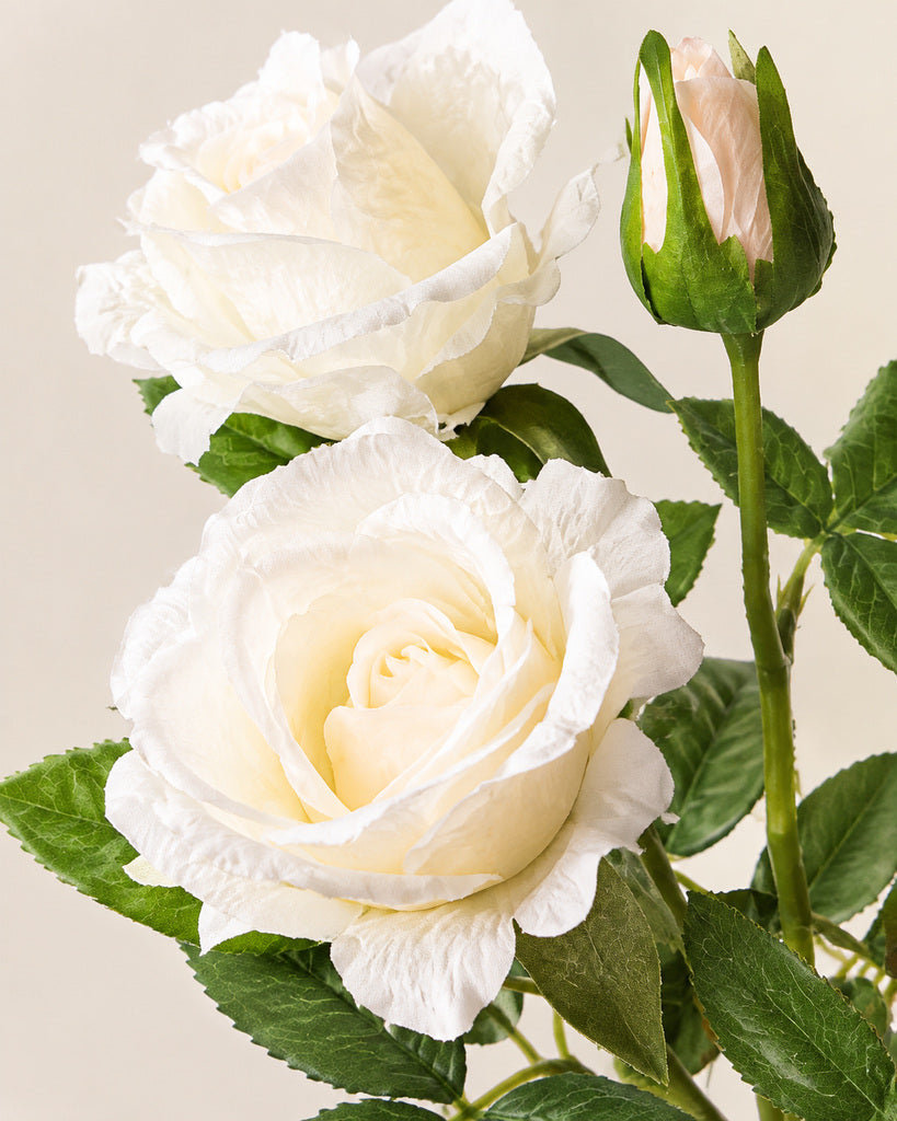 Cream White Multi-Head Artificial Barbie Rose Stem - 70 cm