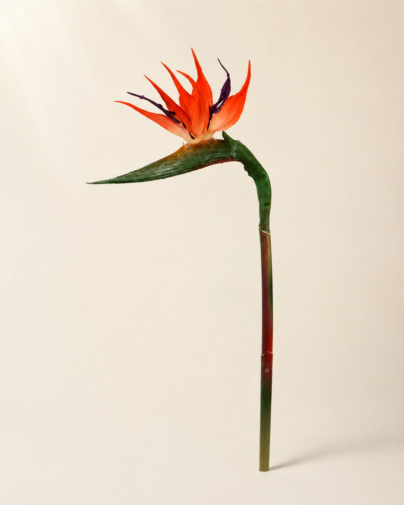 Red Soft-Touch Artificial Bird of Paradise Stem - 58 cm