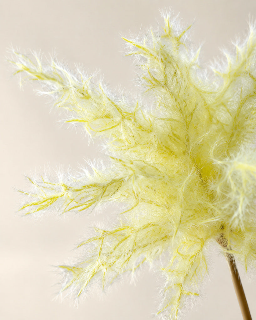 Yellow-Green Artificial Smoke Bush Floral Stem - 70 cm