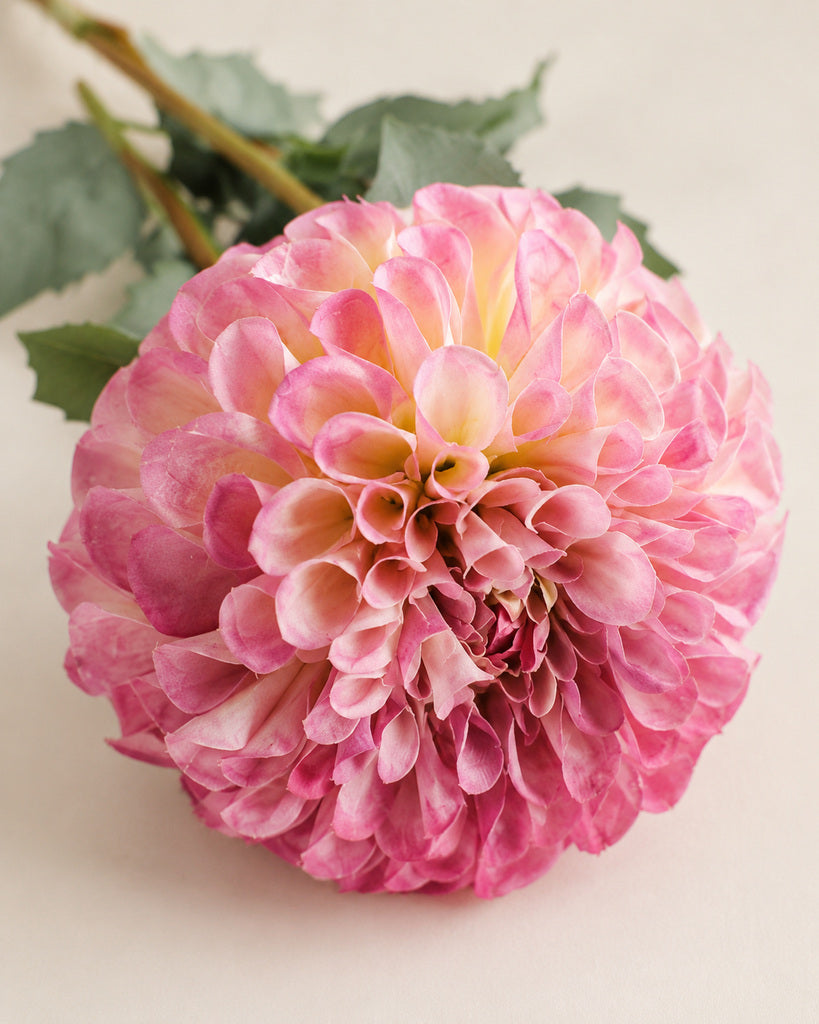 Purple 2-Head Fabric Artificial Dahlia Stem - 80 cm