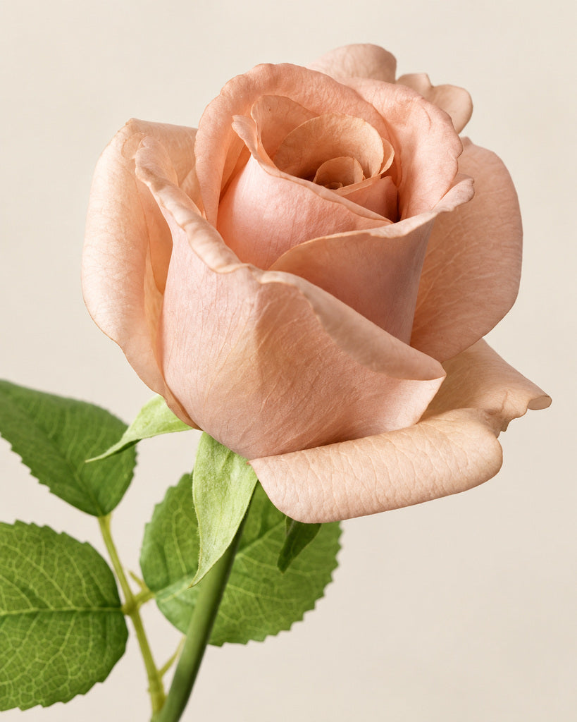 Nude Kate Artificial Rose Stem - 47 cm