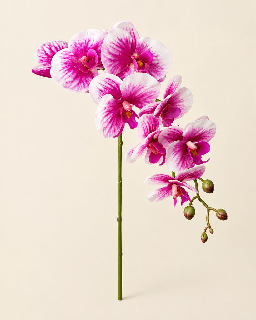 White & Magenta PVC Artificial Phalaenopsis Orchid Stem - 100 cm