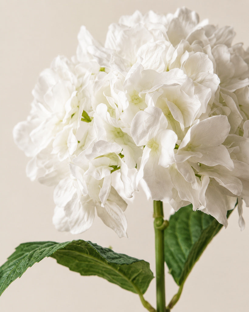 White Soft-Touch Artificial Hydrangea Stem - 47 cm