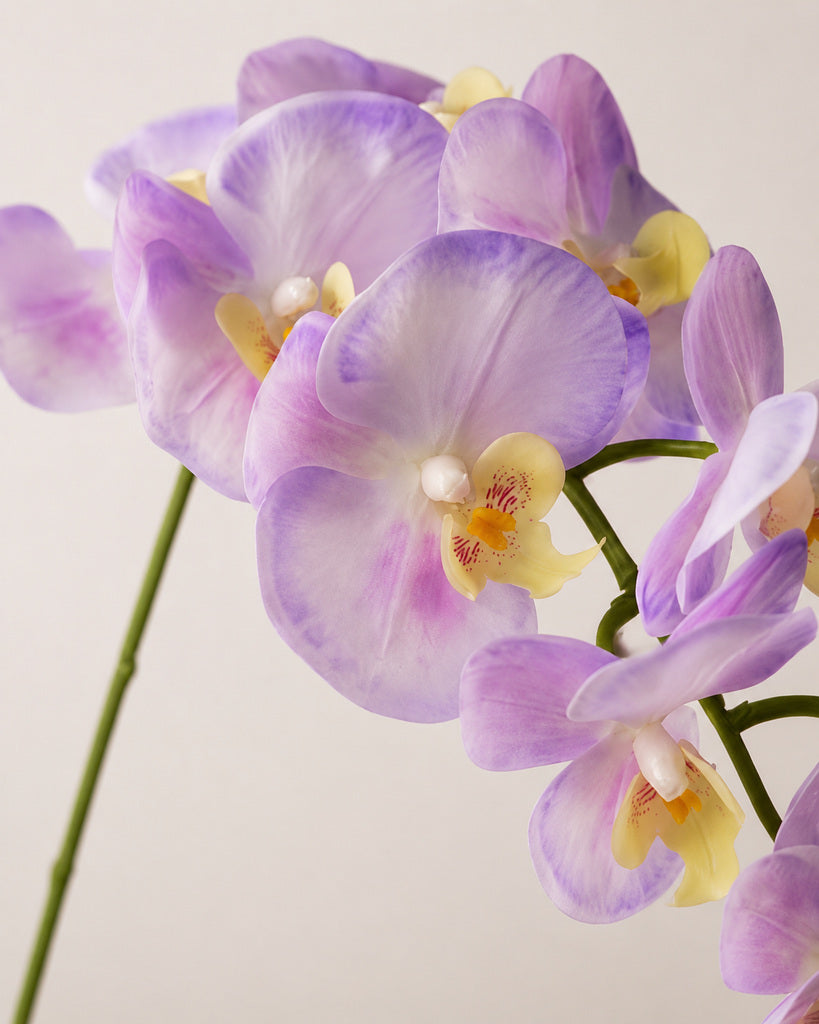 Light Purple PVC Artificial Phalaenopsis Orchid Stem - 100 cm
