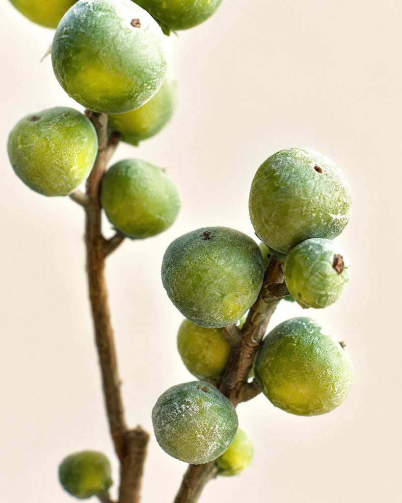 Flocked Artificial Fig Branch - 70 cm