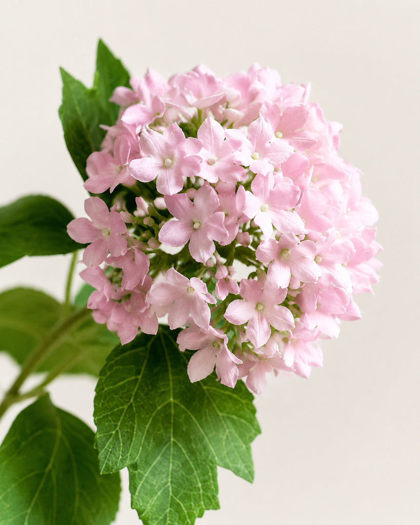 Pink Artificial Wood Hydrangea Spray - 70 cm