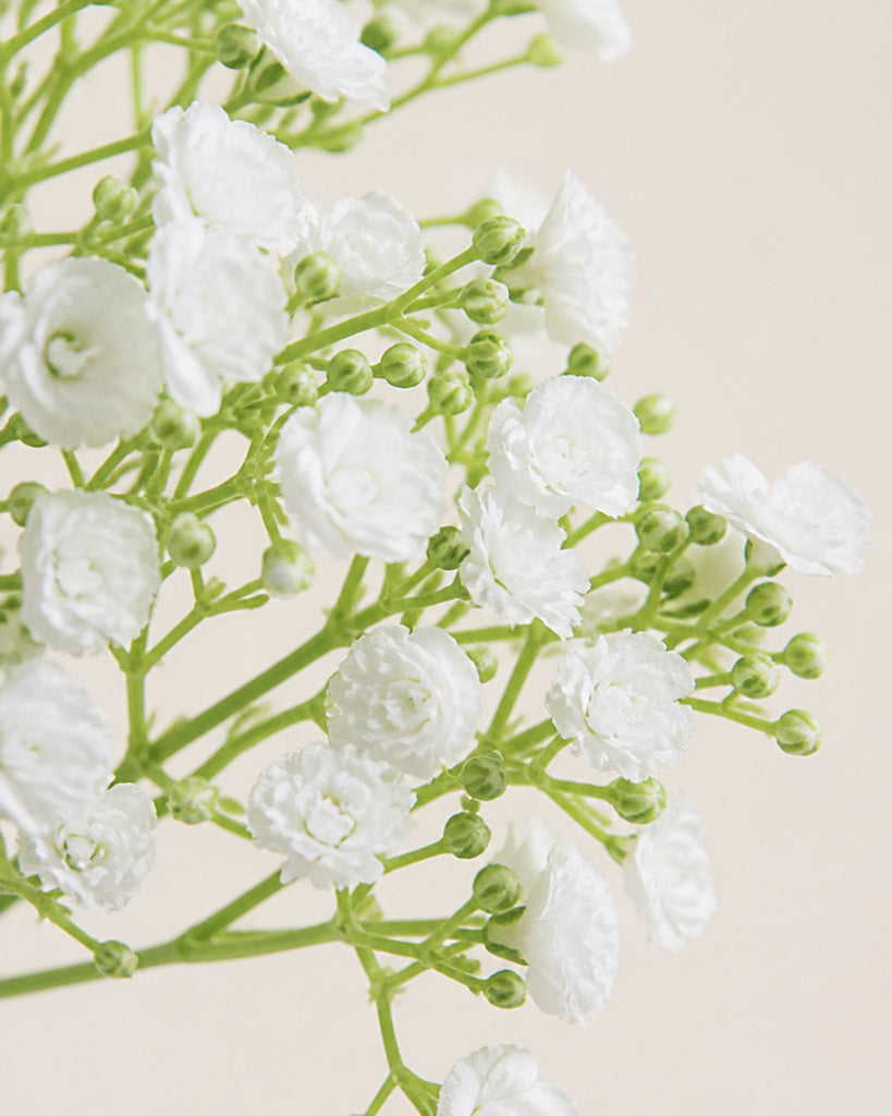 White Plastic Artificial Baby's Breath Spray - 47 cm