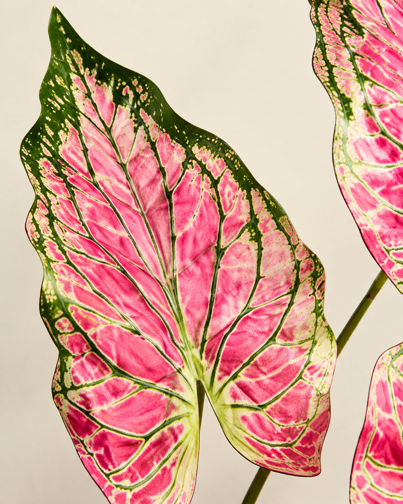 Pink Artificial Alocasia Leaf Spray - 70 cm