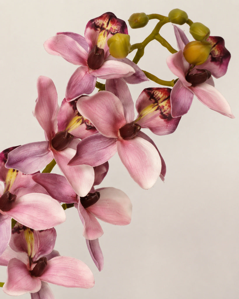 Dusty Mauve Nylon Mesh Artificial Chidori Orchid Spray - 87 cm