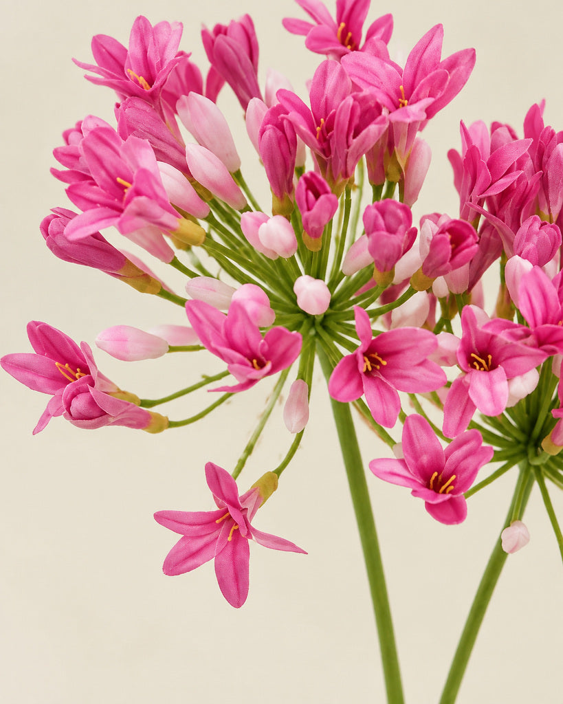 Magenta Plastic & Fabric Artificial Agapanthus Stem - 76 cm