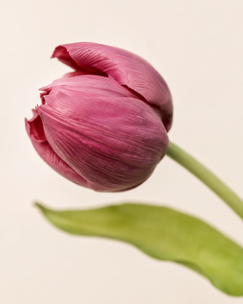 Mauve Artificial Tulip Bud Stem - 49 cm