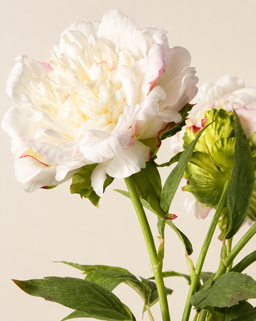 Blush White 3-Stem Artificial Peony Bouquet - 60 cm