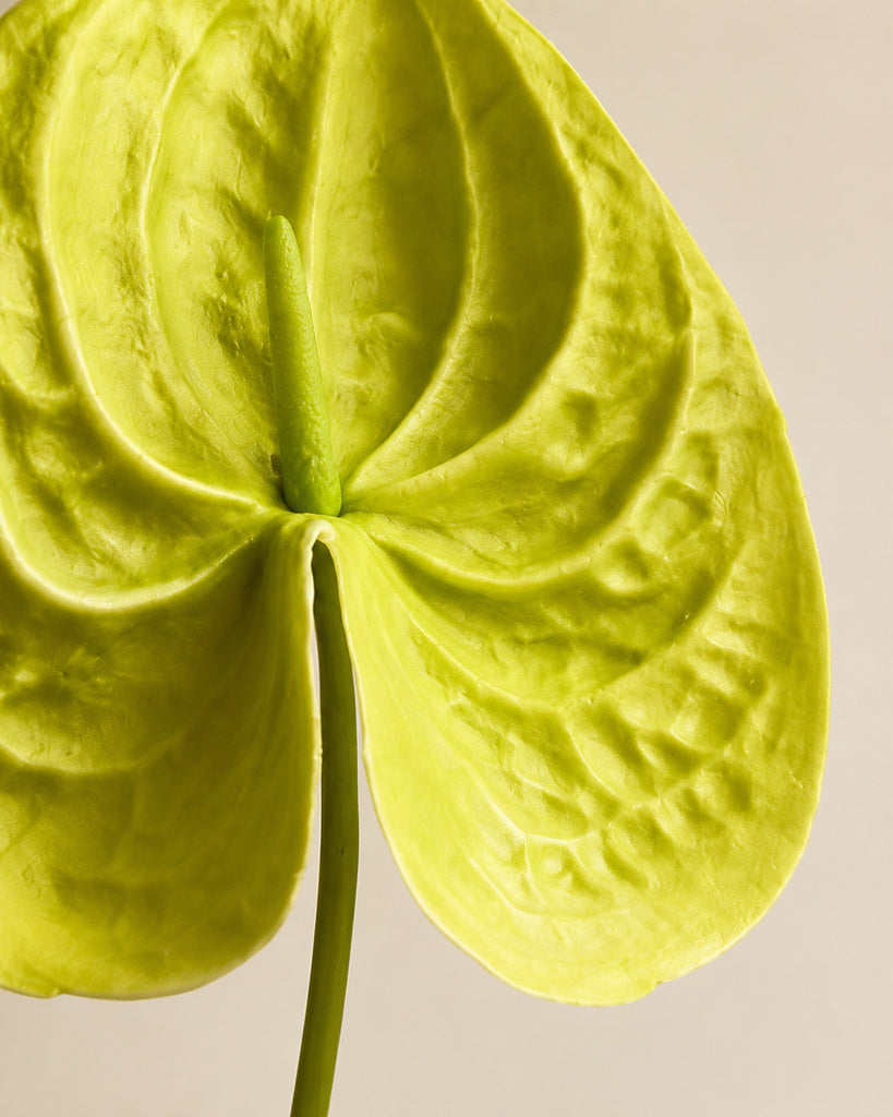Green PU Artificial Anthurium Floral Stem - 57 cm