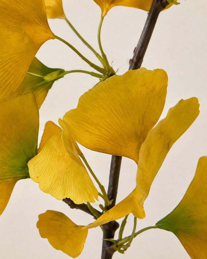 Yellow Artificial Ginkgo Leaf Branch - 96 cm
