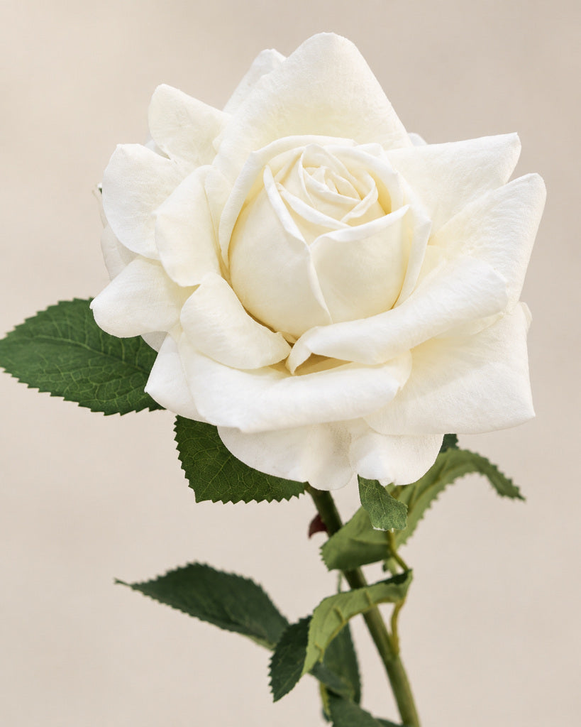 White Soft-Touch Artificial Rose Stem - 73 cm