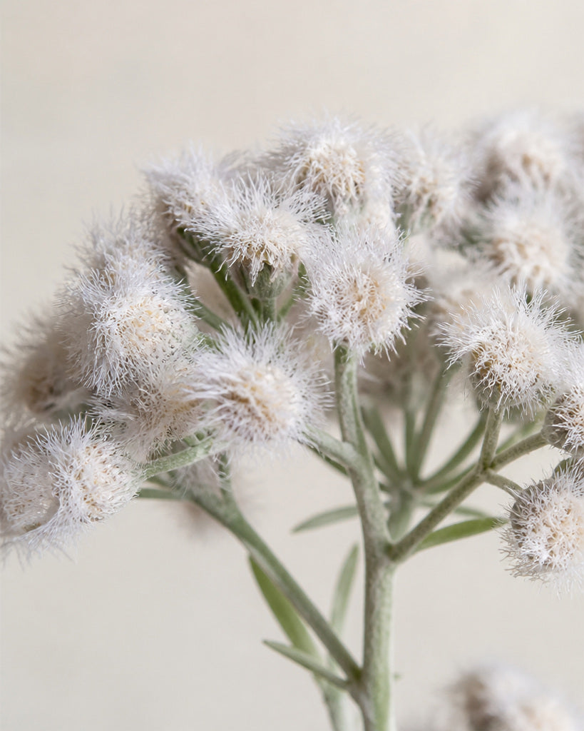 White Flocked Artificial Dandelion Stem - 35 cm