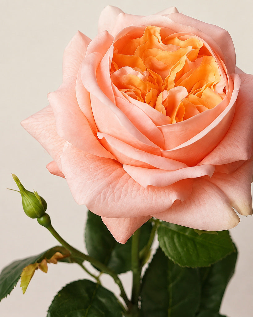 Orange Yellow Fabric Artificial Juliet Rose Stem - 69 cm
