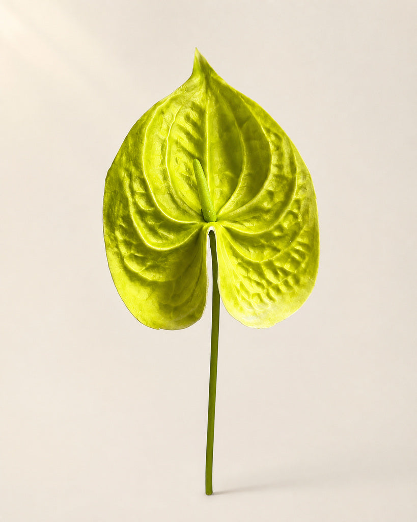 Green PU Artificial Anthurium Floral Stem - 57 cm