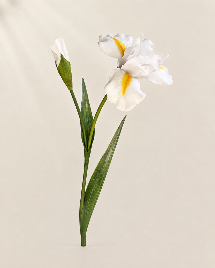 White Artificial Iris Floral Stem - 75 cm
