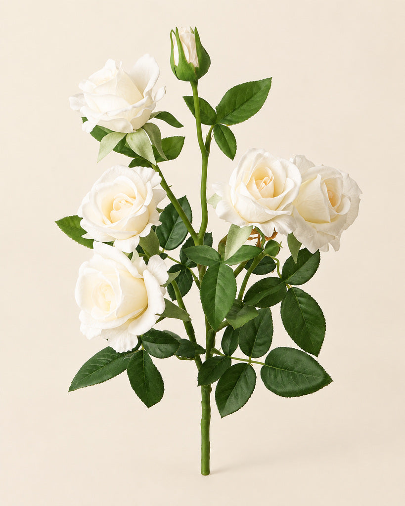 Cream White Multi-Head Artificial Barbie Rose Stem - 70 cm