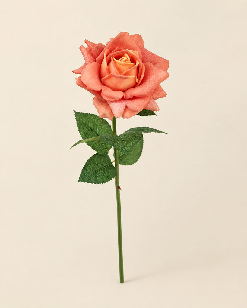 Orange Austin Artificial Rose Stem - 73 cm