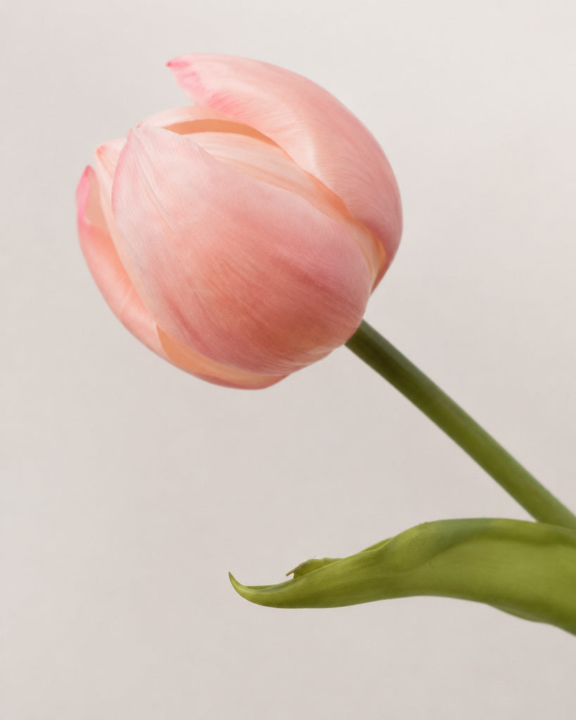 Pink Artificial Tulip Bud Stem - 49 cm