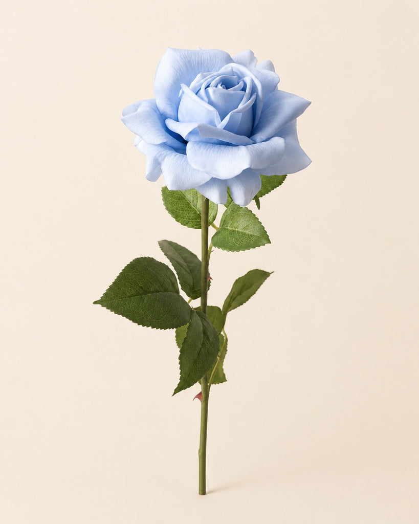Light Blue Austin Artificial Rose Stem - 73 cm