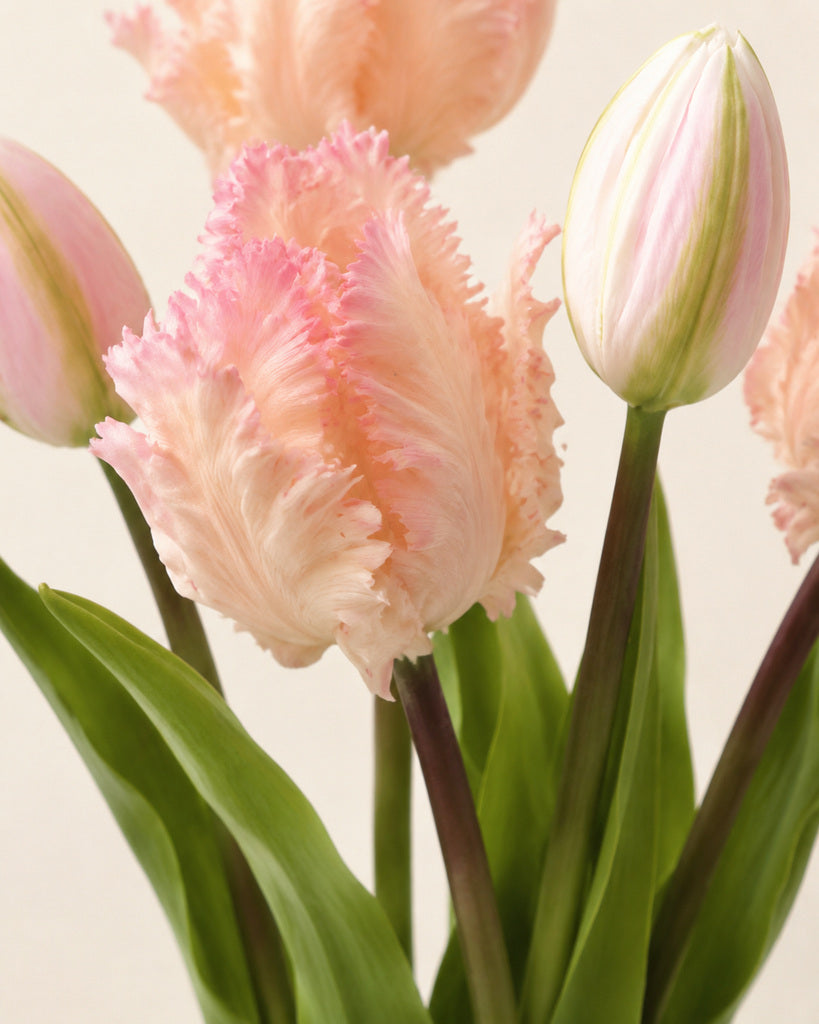 Light Pink Soft Rubber Artificial Parrot Tulip Bouquet - 40 cm
