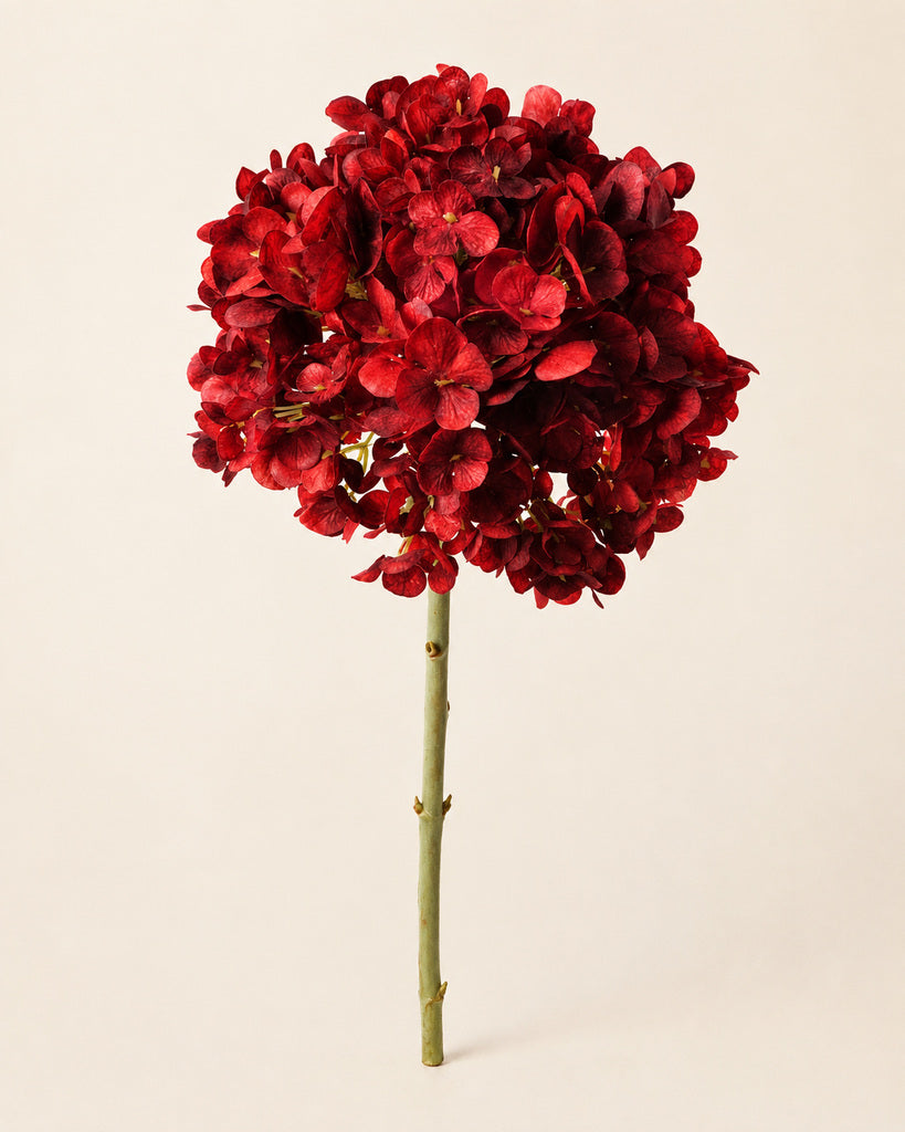 Red Dutch Hydrangea Large Stem - 64 cm