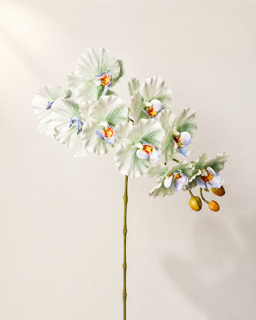 Mint Green Dream 9-Head Artificial Phalaenopsis Orchid Stem