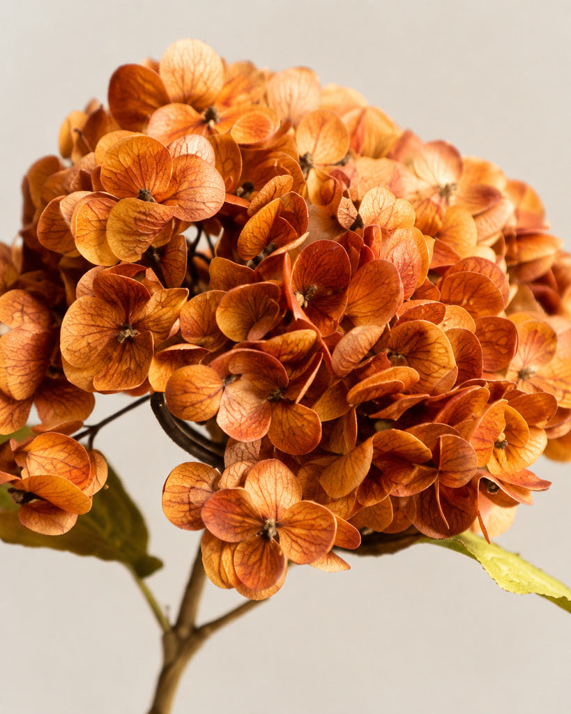 Dark Brown Soft Rubber Artificial Hydrangea Floral Stem - 50 cm