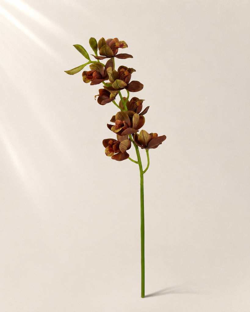 Coffee Brown Soft Rubber Artificial Cymbidium Orchid Spray - 70 cm