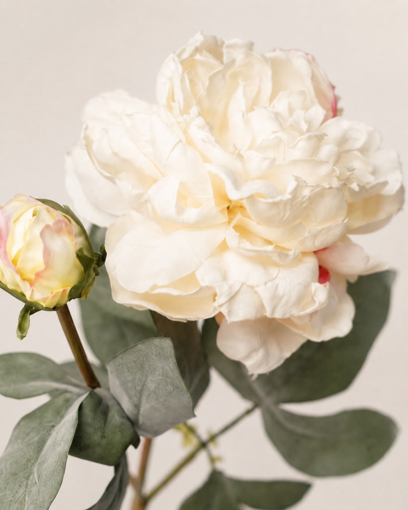 Champagne Fabric Artificial Peony Stem - 64 cm