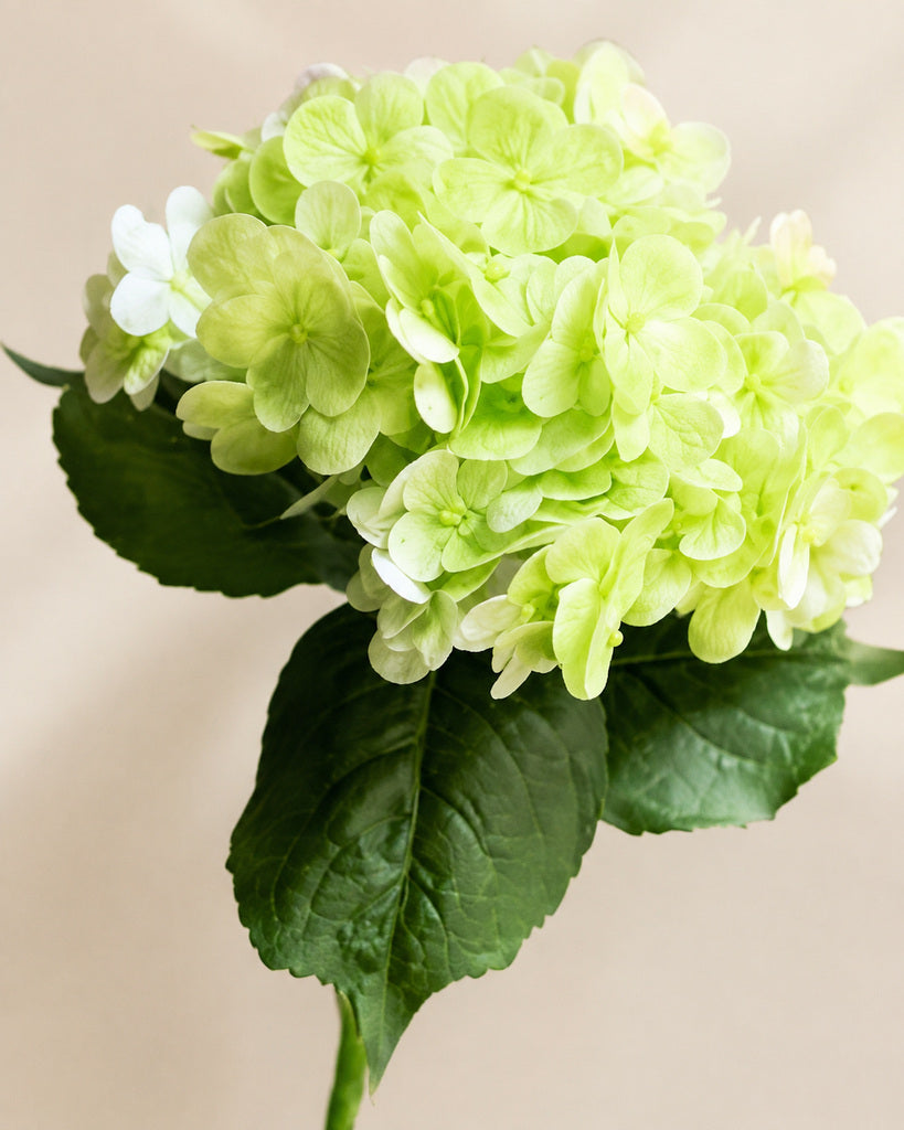 Light Green Soft Rubber Artificial Hydrangea Floral Stem - 50 cm