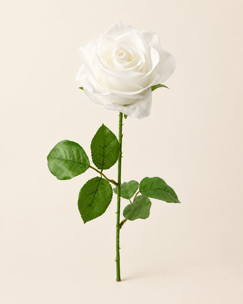 White Artificial French Rose Stem - 55 cm