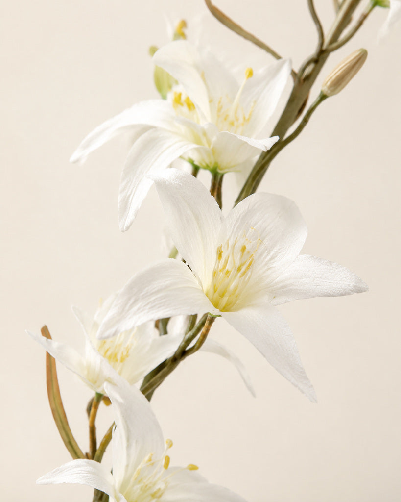 White Fabric Artificial Australian Dendrobium Orchid Stem - 80 cm