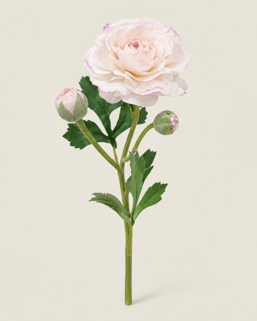 Blush White 3-Head Artificial Ranunculus Stem - 54 cm