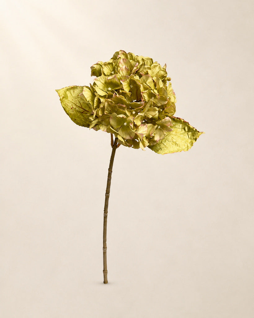 Autumn Green Artificial Hydrangea Stem - 68 cm