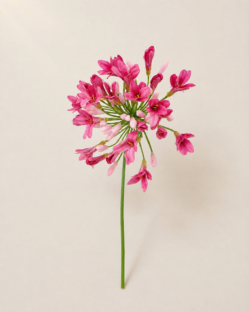 Magenta Plastic & Fabric Artificial Agapanthus Stem - 76 cm