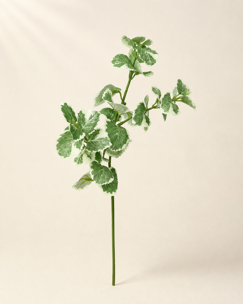 Green White Artificial Cuban Oregano Greenery Spray - 40 cm