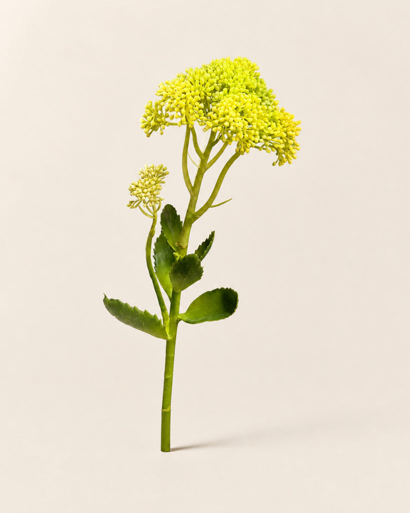 Light Yellow Artificial Sedum Fruit Stem - 55 cm