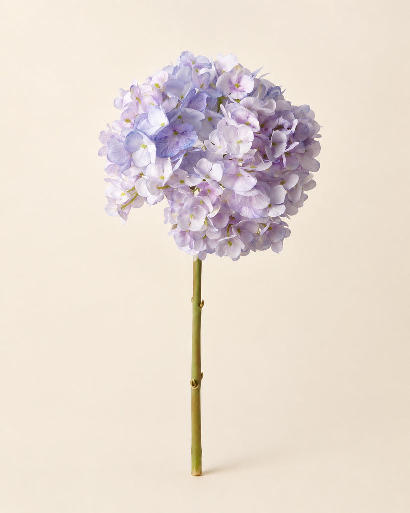 Light Purple Dutch Hydrangea Large Stem - 64 cm