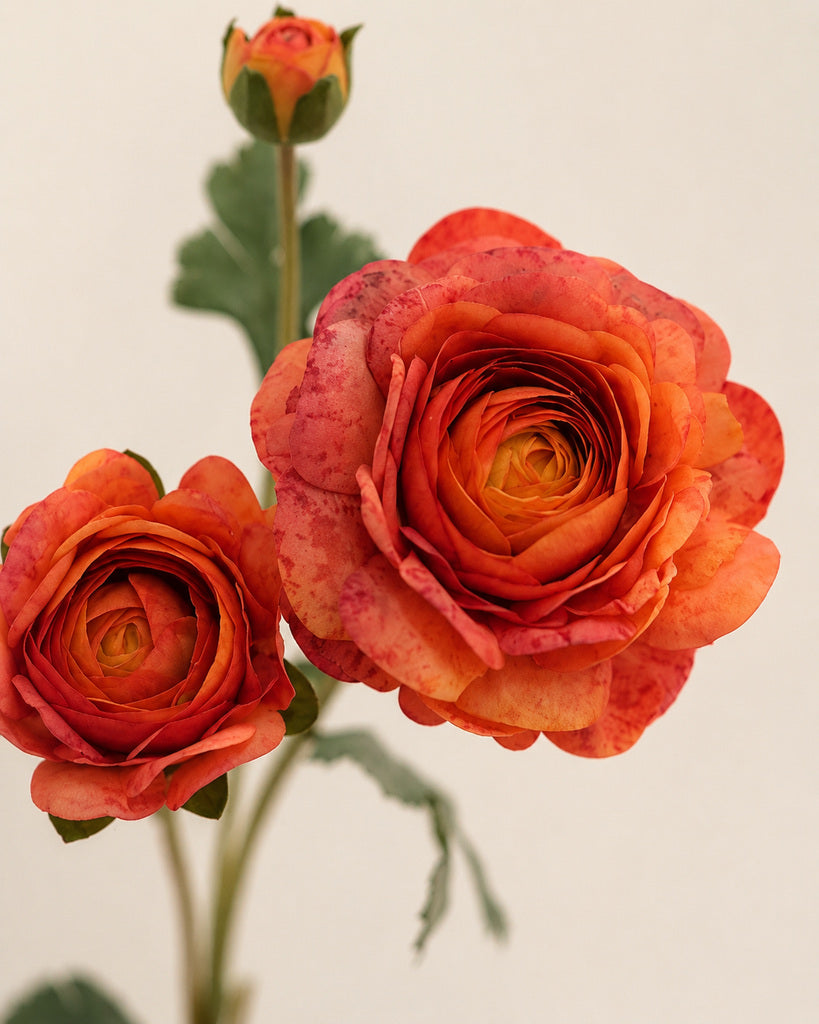 Orange Fabric Artificial Ranunculus Spray - 70 cm