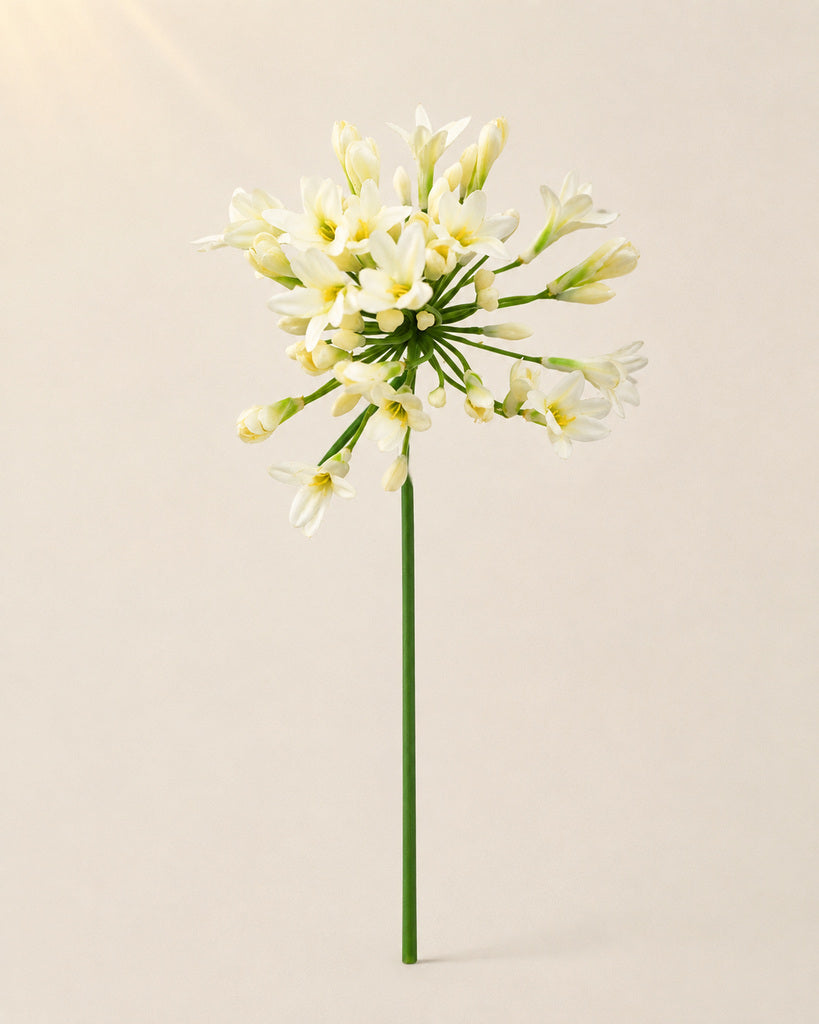 White Plastic & Fabric Artificial Agapanthus Stem - 76 cm