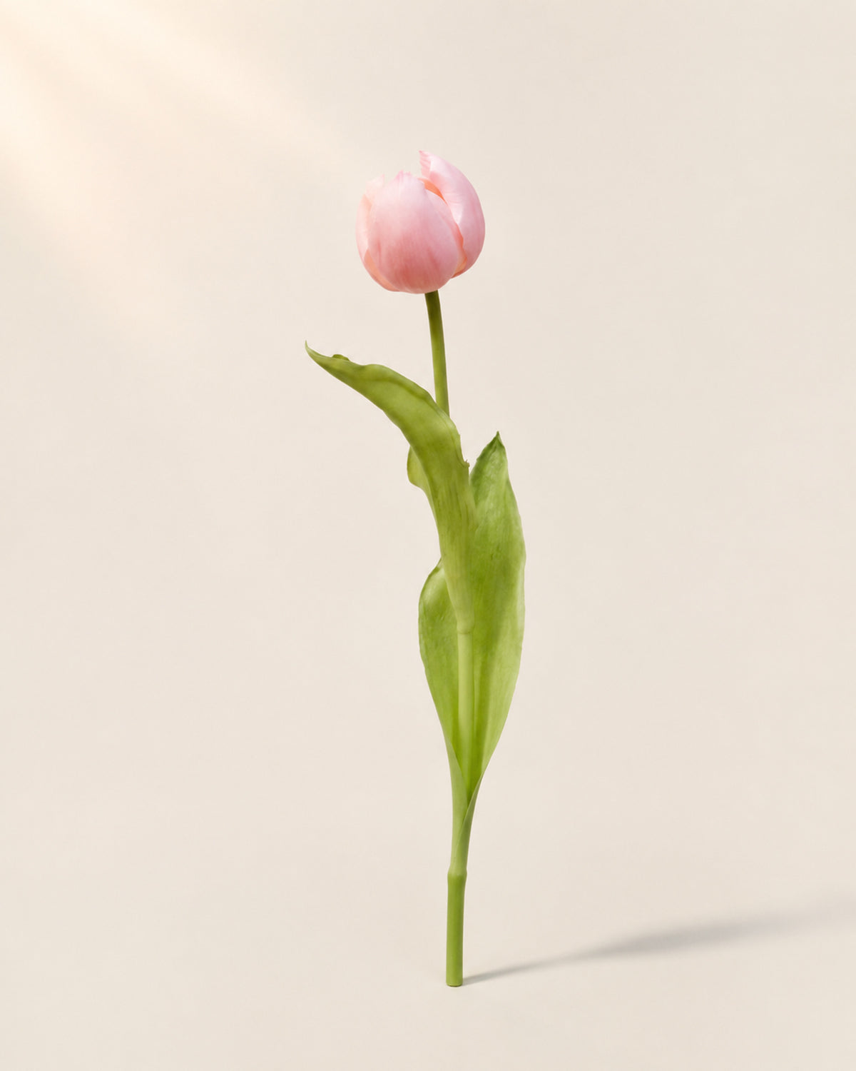 Pink Artificial Tulip Bud Stem - 49 cm