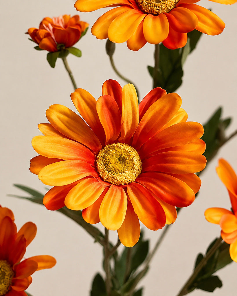 Orange Artificial Daisy Floral Stem - 75 cm